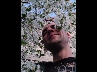 Пелюстки квітів вишні ніжно пестять моє обличчя. Непередаваний аромат