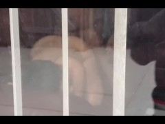 Voyager Watching JayLa In Window (Google JayLa Inc )