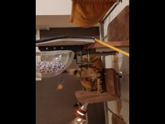 Intense play with toys ...