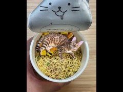 in places you never imagined.