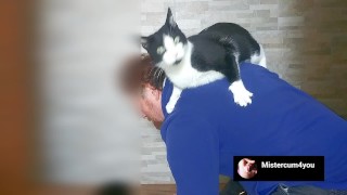 #6 video, v zákulisí mého videa #3, kočky ruší, protože mají hlad, kolik jich je?