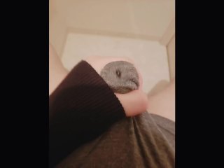 Let's cum together! 【Today's My Dirty fapping　06】. 一緒にシコシコしてイコうよ？今日のえっちなオナニー第6夜