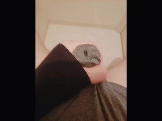 Let's Cum Together! 【today's my Dirty Fapping　06】. 一緒にシコシコしてイコうよ？今日のえっちなオナニー第6夜