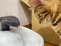 Pussy gets soaked by her first toy ...