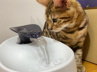 Pussy Gets Soaked by her first Toy ...