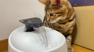 Pussy Gets Soaked By Her First Toy