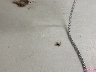 NA MEIN DEVOTES SPIELZEUG! KOMM AN DIE LEINE UNDFOLGE!