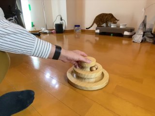 Master looks at you with cold eyes.