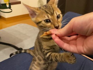 The more it smells, the more excited she gets.