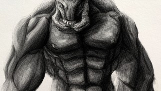 Ripa 'Moramee (Timelapse)