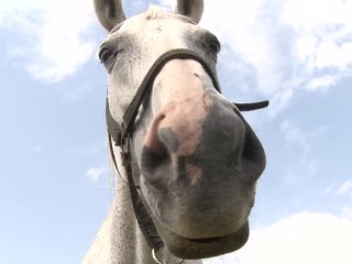 GERMAN ANAL Farm!!! - (Episode #06)