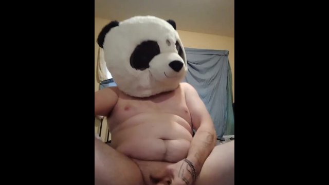 Perverted panda jerks off while I'm at work