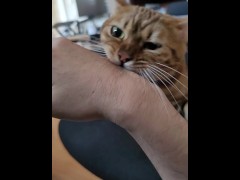 Kitty is rough with your stuff ..