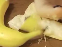 foot stomping bananas