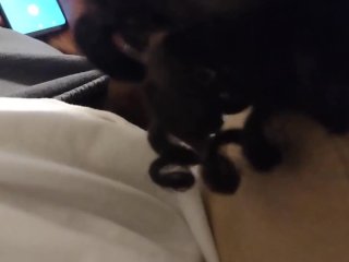 ebony, phone, amateur, blowjob