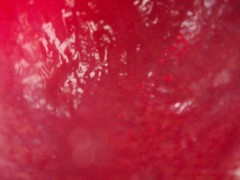 Internal Anal Camera Bad Dragon Flint Fucks And Fills Condom Deep In My Ass, Heartbeat