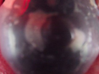 Internal Anal Camera Bad Dragon Flint Fucks And Fills Condom Deep In My Ass, Heartbeat