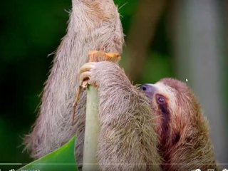 testVideoUpload2022 05 09 15h14