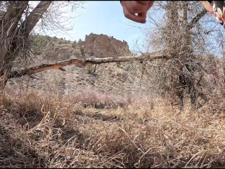 Swinging in the Trees