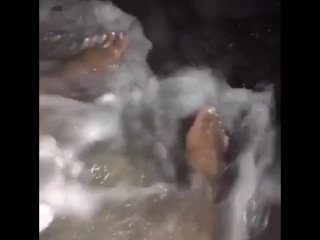 ASMR: Beach Toes Compilation