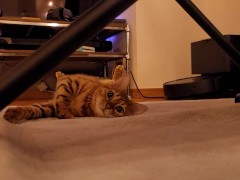 The roommate of her dreams