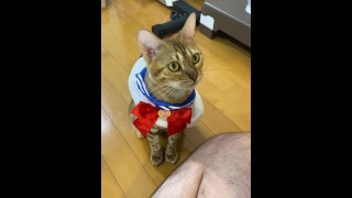 School uniformed kitty