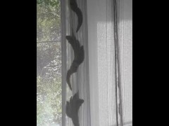 Roof нюдс - Screenshot 4 of 16 - Room
