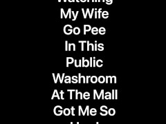 Video Watching My Wife Go Pee In A Public Washroom At The Mall Got My Cock So Hard She Sucked Me Off There