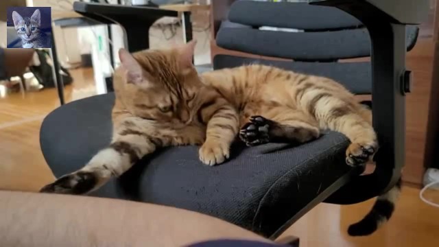 музыкальное видео. Вы захотите посмотреть его утром.