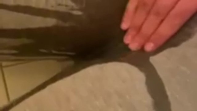 Помочись в штаны