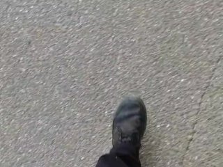 Zeigen 