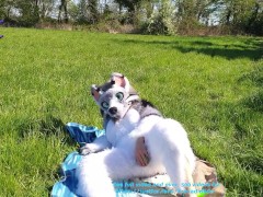 its time to play outside