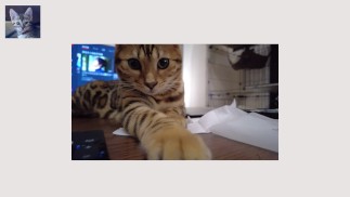 Киска ближайшего будущего видео . 