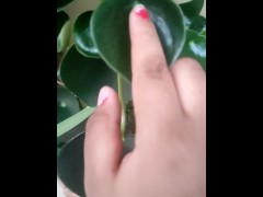 Playing with plants - Screenshot 16 of 16 - Fingerplay