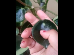 Playing with plants - Screenshot 6 of 16 - Fingerplay