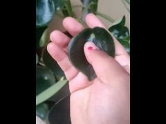Playing with plants - Screenshot 9 of 16 - Handjob