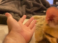 Kitty music video that you want to watch forever.