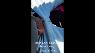 Public Cock Flashing Hlywddawg Trailer