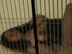 Topless Window Dancer - Screenshot 8 of 16 - Sexwithsassy