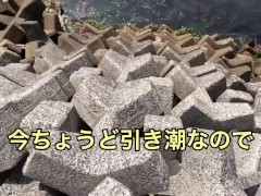 海の珍味　カメノテをおつまみにして食べる - Screenshot 1 of 16 - Cook