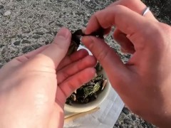 海の珍味　カメノテをおつまみにして食べる