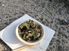 海の珍味　カメノテをおつまみにして食べる - Screenshot 13 of 16 - Sea