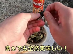 海の珍味　カメノテをおつまみにして食べる - Screenshot 14 of 16 - Fish