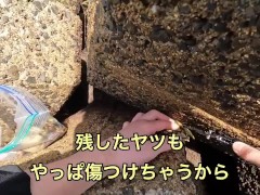海の珍味　カメノテをおつまみにして食べる - Screenshot 6 of 16 - Cook
