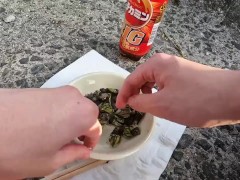 カメノテを完食するいもこ - Screenshot 14 of 16 - Fish