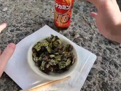 カメノテを完食するいもこ - Screenshot 3 of 16 - Sea