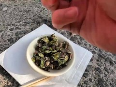 カメノテを完食するいもこ - Screenshot 5 of 16 - Fishing
