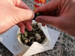 カメノテを完食するいもこ - Screenshot 8 of 16 - Sea