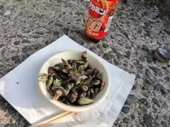 カメノテを完食するいもこ - Screenshot 9 of 16 - Fish