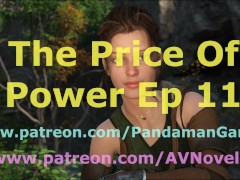 The Price Of Power 11